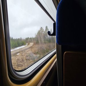 Utsikt från tågfönster